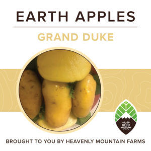 YAO Potatoes2 1400x1400px grand duke 300x300 - Grand Duke Earth Apples
