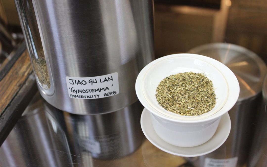 Benefits of Jiao Gu Lan – The “Immortality Herb”